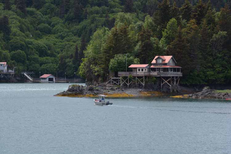 homes at halibut cove